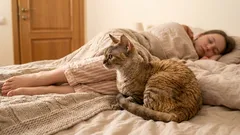猫があなたを守っている10のサイン