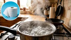 トイレットペーパーに熱湯をかけてみたところ、多くの家庭が抱えるある問題が解決しました。